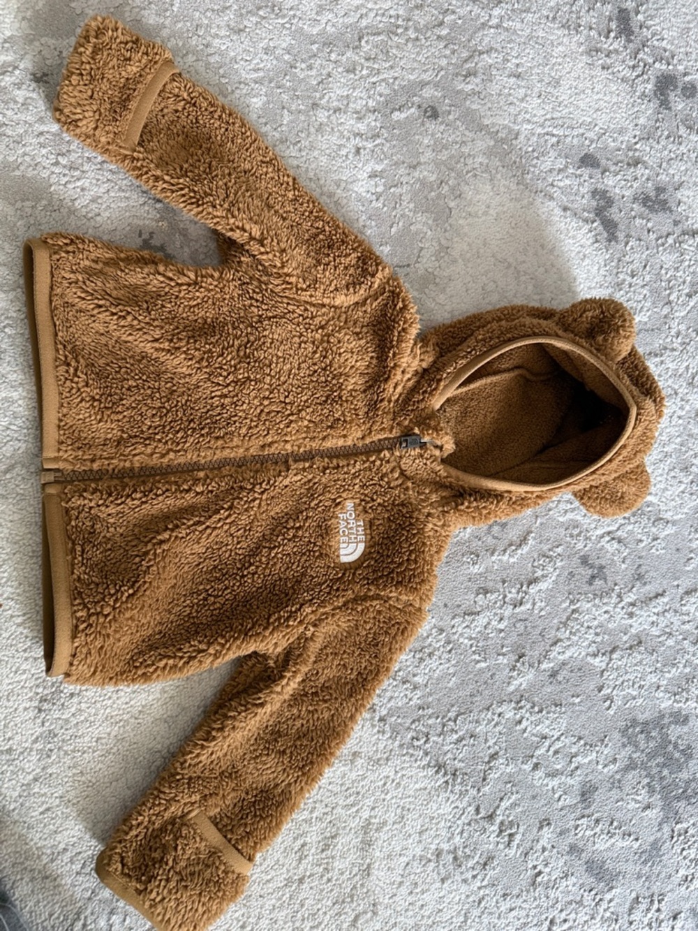 The North Face Teddy Fleece Hoodie in Brown